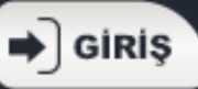 GİRİŞ